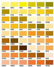 Image result for Yellow Color Palette Pantone