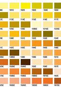 Image result for PMS Colors Pantone