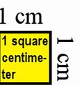 Image result for How to Write Cm Square