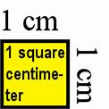 Image result for 1 Cm Square