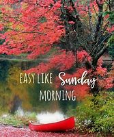 Image result for Easy Like Sunday Morning with Fall Colors