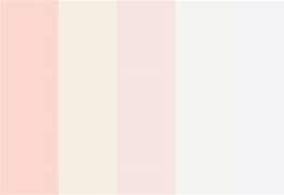 Image result for Rose Gold Palette