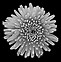 Image result for Flower Blak White