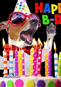 Image result for happy birthday dogs gifs