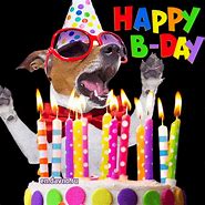 Image result for Funny Birthday Animations