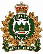 Image result for Nelson Police Department