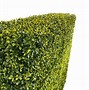 Image result for Artificial Box Hedge Plants