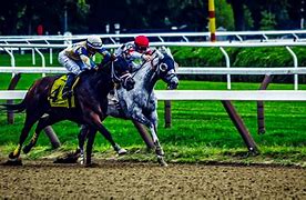 Image result for Horse Racing Dirt Track