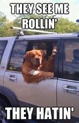 Image result for They See Me Rollin Animal Meme