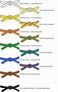 Image result for Jiu Jitsu Belt Order