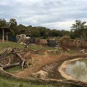 Image result for World's Largest Zoo