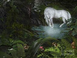 Image result for Fine Art Unicorn in a Forest
