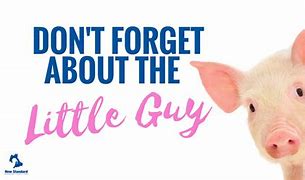 Image result for Don't Forget the Little People Meme