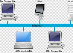 Image result for Local Area Network PNG