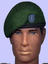 Image result for U.S. Army Green Beret