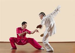 Image result for Japan Kung Fu Styles