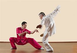 Image result for Monkey Style Kung Fu Techniques