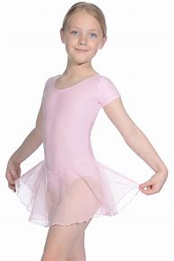 Image result for Leotards with Skirts Attached