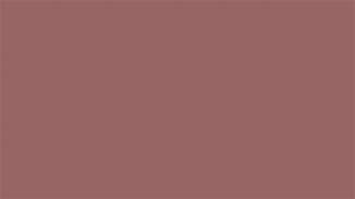 Image result for Rose Gold Solid Background