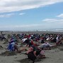 Image result for Burying Head in Beach Sand