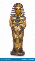 Image result for Preserved Mummies
