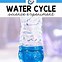 Image result for Water Cycle Science Experiment