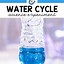 Image result for Water Experiments for Kids