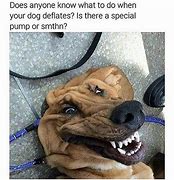 Image result for Funny Doggo Memes