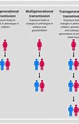 Image result for Transgenerational Epigenetic Inheritance
