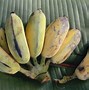 Image result for Banana Variety