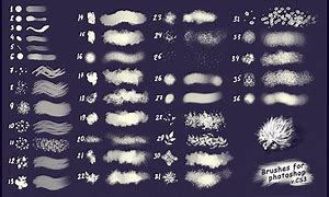 Image result for Best Photoshop Brushes