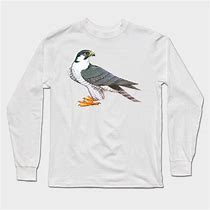 Image result for AU Falcon Shirt