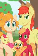 Image result for MLP Aplle Family