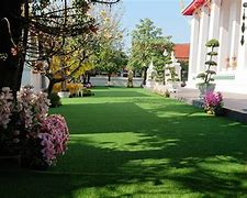 Image result for Linear Yard