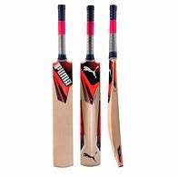 Image result for Cricket Bats for Disabled People