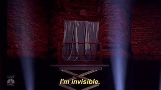Image result for AM I Invisible Now GIF
