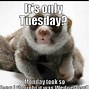Image result for Sarcastic Tuesday Memes