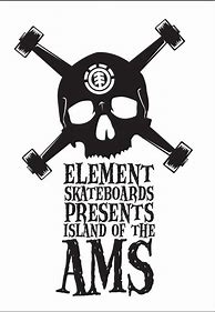 Image result for Element Skateboarding Logo