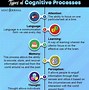 Image result for Brain Processing