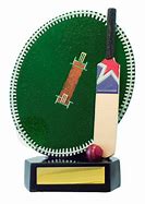 Image result for Cricket Awards