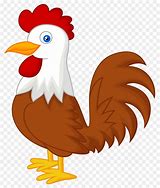 Image result for Ayam Anima Si