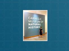 Image result for Carnegie Building in Corona CA
