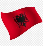 Image result for Albania Flag Simple