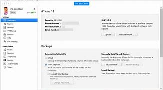 Image result for iTunes Backup iPhone Non-Trusted CPU