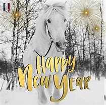 Image result for Funny Horse Happy New Year