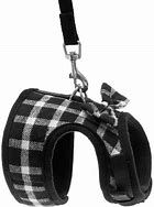 Image result for cat harness