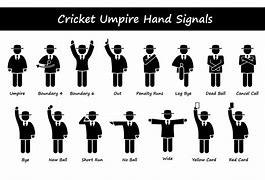 Image result for Cricket Signals