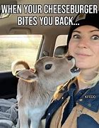 Image result for Pablo Cow Meme