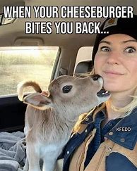 Image result for Night Vision Cow Meme