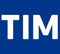 Image result for Logo Tim Ayfon